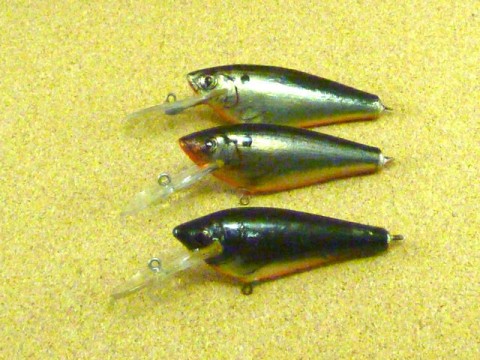 small_fry_shad-2