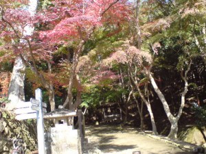 DSC00397