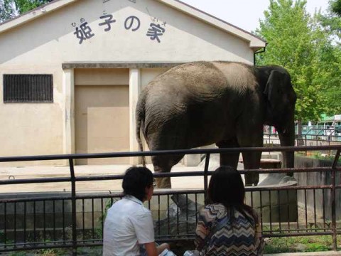 HIMEJI ZOO-03