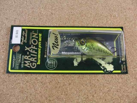 GG BASS GG BASS