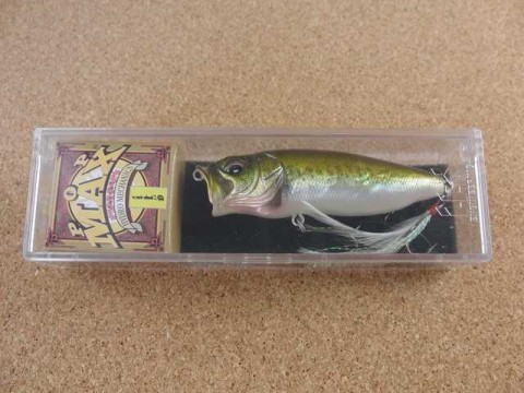 GG BASS GG BASS