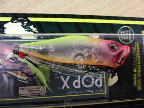 POP-X KANAMO-02