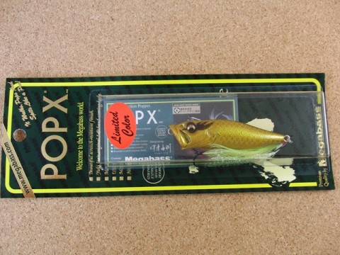 POP-X KIN SYACHI