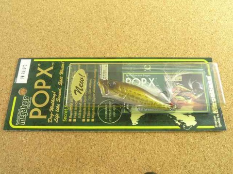 POP-X PM-RAIGYO PM-RAIGYO