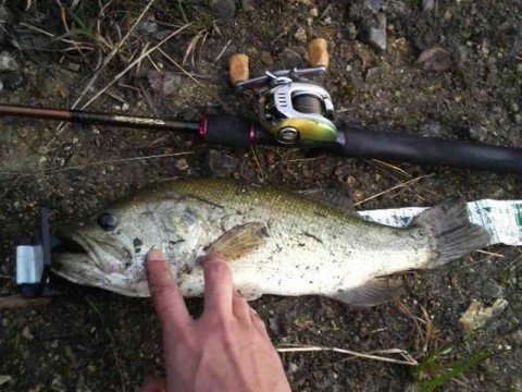 bass fishing-090614-03