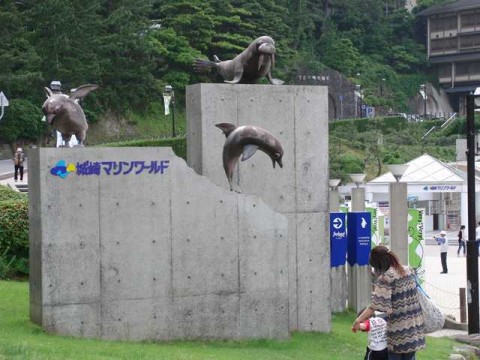 kinosaki sea zoo 01