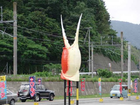 kinosaki sea zoo 06