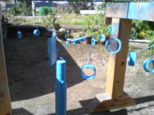 200910091157000.jpg