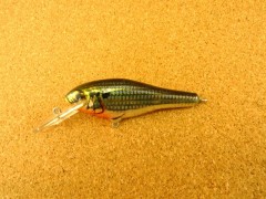 Bassn SHAD D92 FCSS
