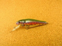 Bassn SHAD D92 FRT