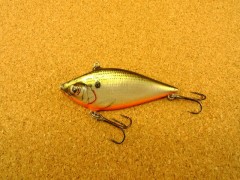 Catter Shad CS3 TS Catter Shad CS3 TS