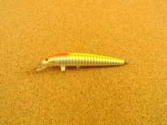 diving_suspend_bang-o-lure_4_d4s_294