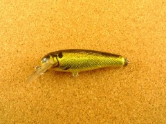 mighty_minnow_mm2_bg