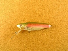 Small Fry Trout 7DF3 RT